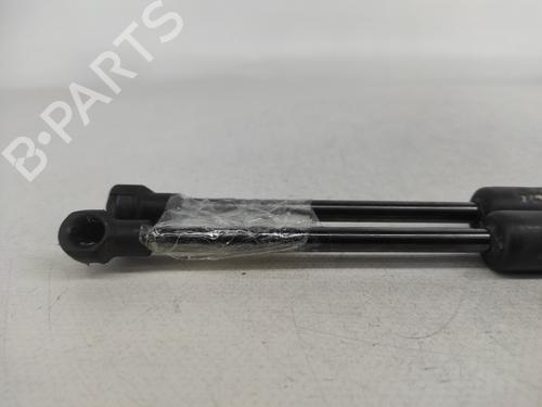 Tailgate lift support BMW 3 Coupe (E92) 320 d | BP14422279C138 