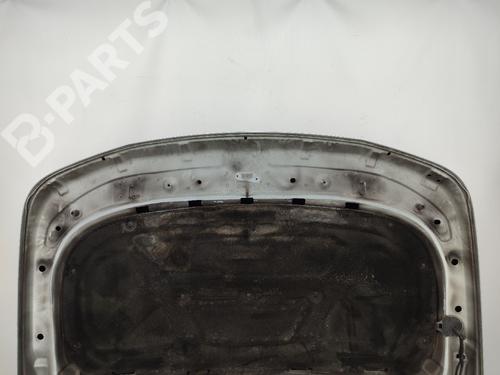 Hood LAND ROVER RANGE ROVER SPORT I (L320) 2.7 D 4x4 | BP9734174C1 
