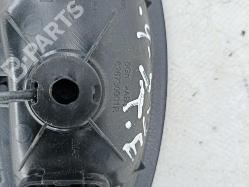 Rear left interior door handle RENAULT SCÉNIC III (JZ0/1_) 1.5 dCi | BP9805731I15 