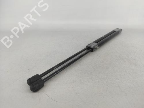Tailgate lift support LAND ROVER RANGE ROVER SPORT I (L320) 2.7 D 4x4 | BP14423253C138 