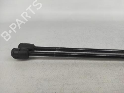 Tailgate lift support LAND ROVER RANGE ROVER SPORT I (L320) 2.7 D 4x4 | BP14423253C138 