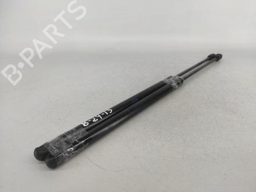 Tailgate lift support LAND ROVER RANGE ROVER SPORT I (L320) 2.7 D 4x4 | BP14423253C138 