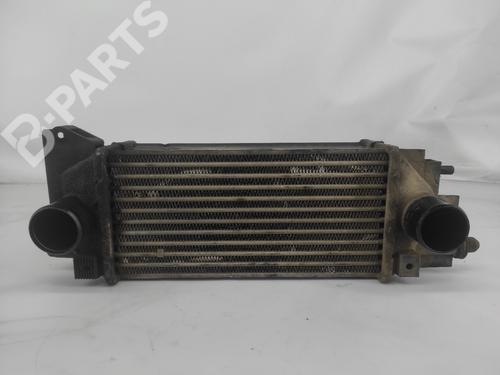 Intercooler LAND ROVER FREELANDER I (L314) 2.0 DI 4x4 (98 hp) 10235655
