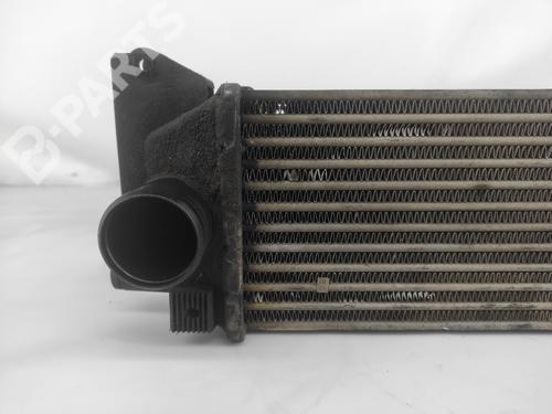Intercooler LAND ROVER FREELANDER I (L314) 2.0 DI 4x4 | BP10235655M30