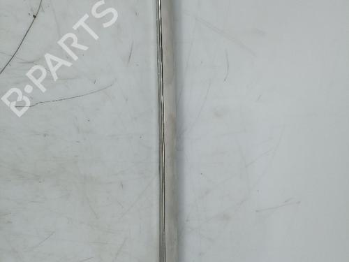 Door moulding trim JAGUAR S-TYPE II (X200) 3.0 V6 | BP14425864C150 