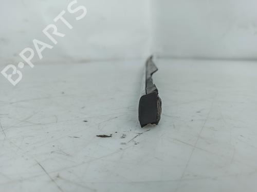 Door moulding trim JAGUAR S-TYPE II (X200) 3.0 V6 | BP14425896C150 