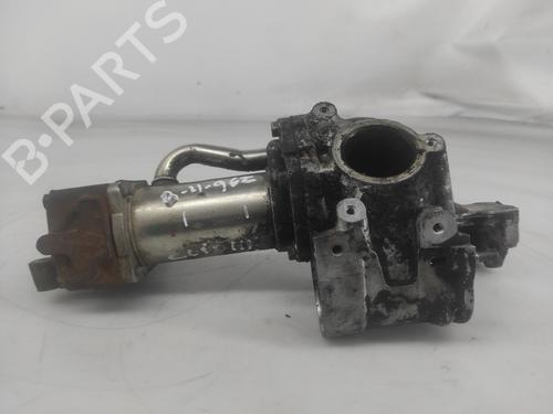 Egr RENAULT CLIO III (BR0/1, CR0/1) [2005-2014]  17650979