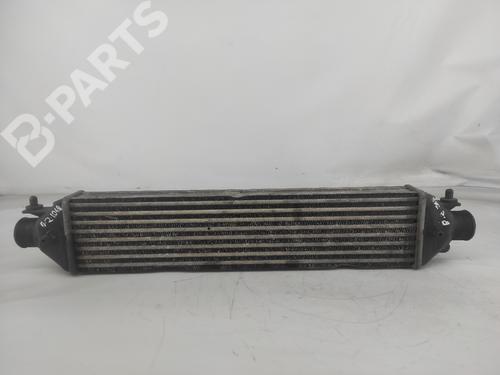 Used Intercooler OPEL COMBO Box Body/MPV (X12) 1.3 CDTI (B05) (90 hp) 10743621
