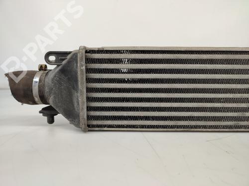 Intercooler FIAT BRAVO II (198_) 1.9 D Multijet (198AXB1A) | BP11429026M30