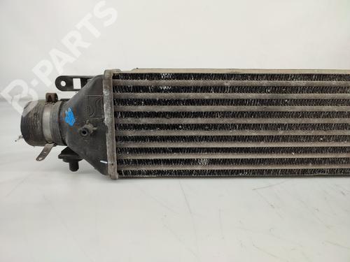 Intercooler FIAT BRAVO II (198_) 1.9 D Multijet (198AXB1A) | BP11429026M30