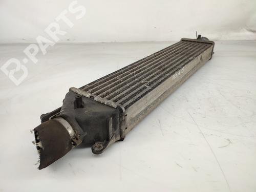 Intercooler FIAT BRAVO II (198_) 1.9 D Multijet (198AXB1A) | BP11429026M30