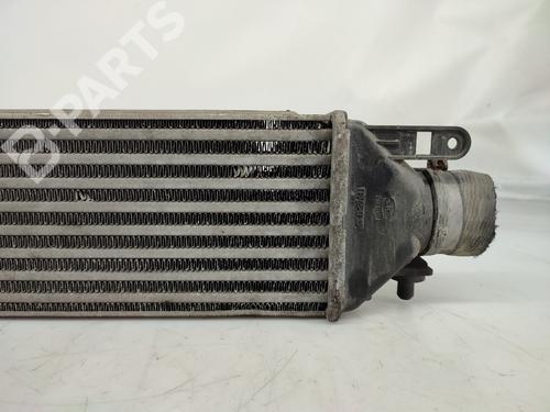 Intercooler FIAT BRAVO II (198_) 1.9 D Multijet (198AXB1A) | BP11429026M30