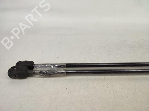 Tailgate lift support SKODA OCTAVIA II (1Z3) 1.6 TDI | BP14428720C138 