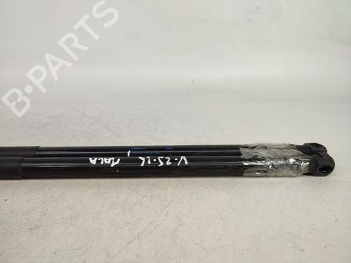Tailgate lift support SKODA OCTAVIA II (1Z3) 1.6 TDI | BP14428720C138 