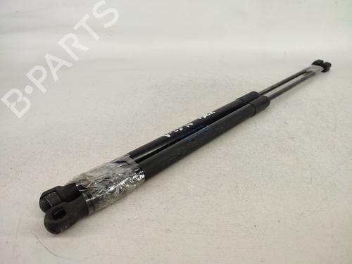 Tailgate lift support SKODA OCTAVIA II (1Z3) 1.6 TDI | BP14428720C138 