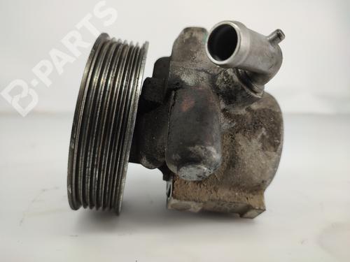 Steering pump FIAT DOBLO Cargo (263_) 1.3 D Multijet | BP12148542M99 