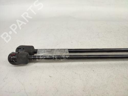 Tailgate lift support FORD FIESTA VI (CB1, CCN) 1.6 TDCi | BP14430579C138 