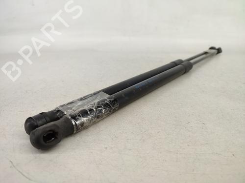 Tailgate lift support FORD FIESTA VI (CB1, CCN) 1.6 TDCi | BP14430579C138 