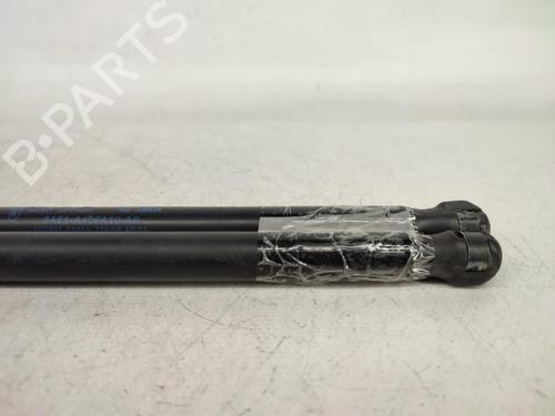 Tailgate lift support FORD FIESTA VI (CB1, CCN) 1.6 TDCi | BP14430579C138 