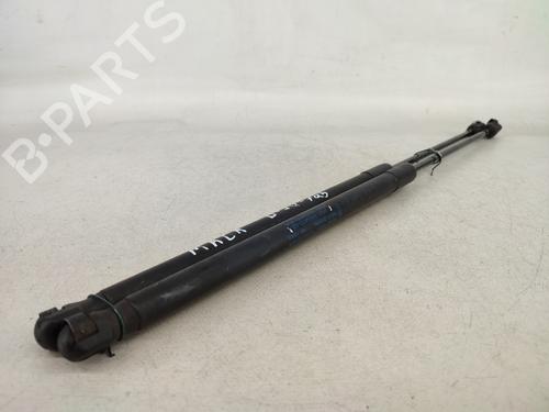 Tailgate lift support FORD FIESTA VI (CB1, CCN) 1.25 | BP14430684C138 