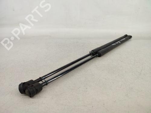 Tailgate lift support FORD FIESTA VI (CB1, CCN) 1.25 | BP14430684C138 