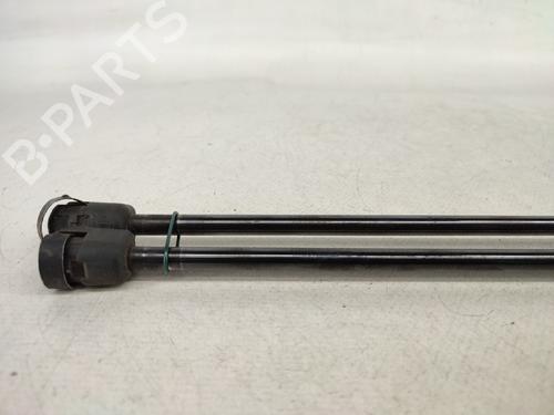 Tailgate lift support FORD FIESTA VI (CB1, CCN) 1.25 | BP14430684C138 