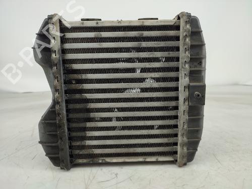 Intercooler SMART CITY-COUPE (450) 0.6 (S1CLA1, 450.341) | BP13296158M30 