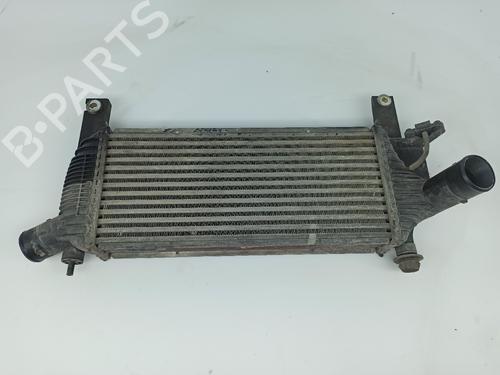Intercooler NISSAN PATHFINDER III (R51) 2.5 dCi 4WD (171 hp) 13315067