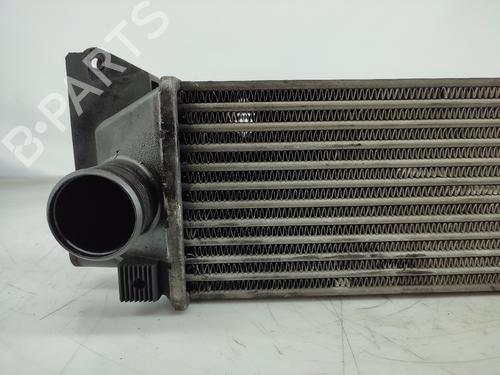 Intercooler LAND ROVER FREELANDER I (L314) 2.0 DI 4x4 | BP13620046M30