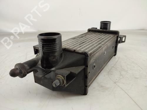 Intercooler LAND ROVER FREELANDER I (L314) 2.0 DI 4x4 | BP13620046M30