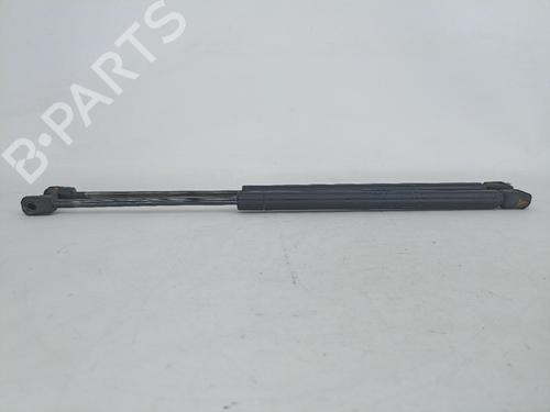 Tailgate lift support TOYOTA COROLLA (_E12_) 1.4 VVT-i (ZZE120_, ZZE120R) 6896002030