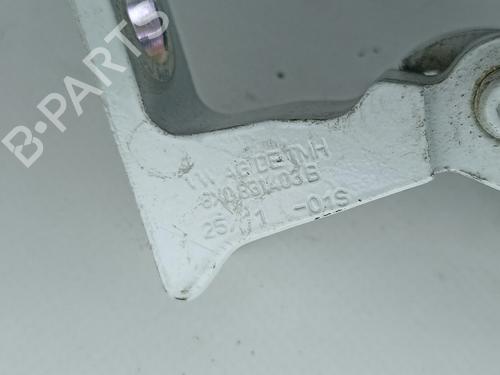 Hinge/Door check strap AUDI A1 (8X1, 8XK) 1.4 TFSI | BP14434388C146 