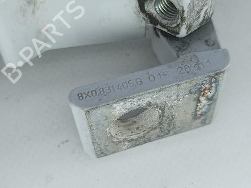 Hinge/Door check strap AUDI A1 (8X1, 8XK) 1.4 TFSI | BP14434388C146 