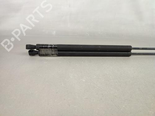 Tailgate lift support PEUGEOT 106 I (1A, 1C) 1.0 | BP15065798C138 