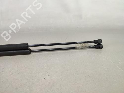 Tailgate lift support PEUGEOT 106 I (1A, 1C) 1.0 | BP15065798C138 