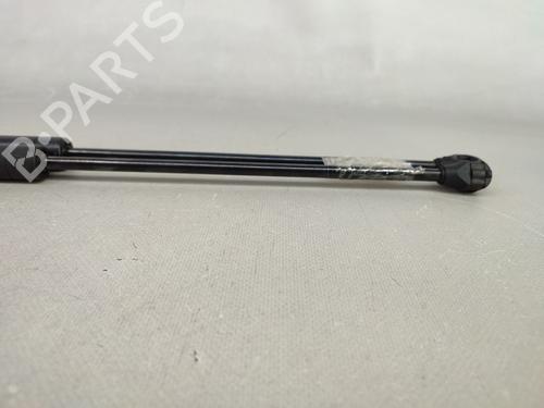Tailgate lift support PEUGEOT 106 I (1A, 1C) 1.0 | BP15065798C138 