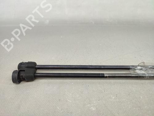 Tailgate lift support CITROËN C4 Coupe (LA_) 1.6 HDi | BP15073547C138 