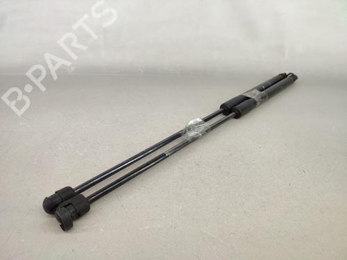 Tailgate lift support CITROËN C4 Coupe (LA_) 1.6 HDi | BP15073547C138 