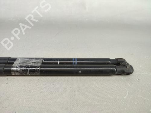 Tailgate lift support CITROËN C4 Coupe (LA_) 1.6 HDi | BP15073547C138 