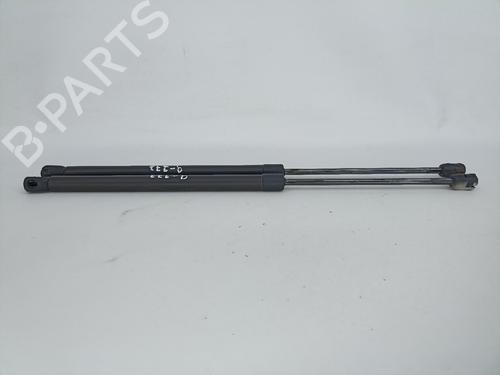 Tailgate lift support SEAT TOLEDO I (1L2) 1.6 i | BP15178520C138 
