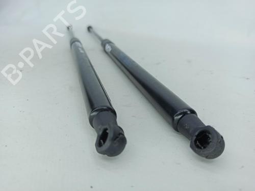 Tailgate lift support CITROËN C4 Grand Picasso I (UA_) 2.0 HDi 138 | BP15556541C138