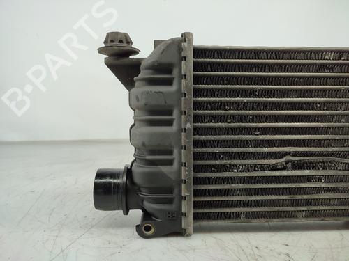 Intercooler NISSAN ALMERA II (N16) 1.5 dCi | BP15639927M30 