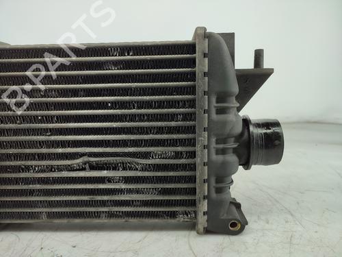 Intercooler NISSAN ALMERA II (N16) 1.5 dCi | BP15639927M30 