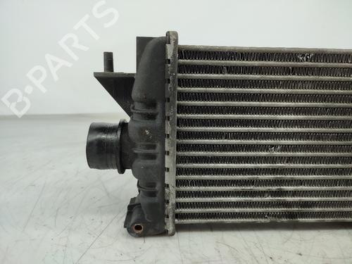 Intercooler NISSAN ALMERA II (N16) 1.5 dCi | BP15639927M30 