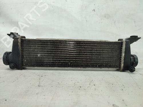 Intercooler MERCEDES-BENZ A-CLASS (W168) A 170 CDI (168.008) (90 hp) A1685000000