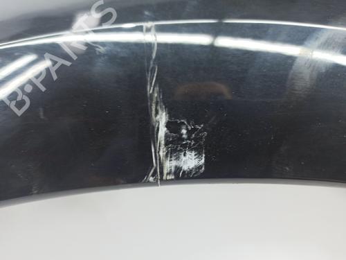 Left front fenders CITROËN C4 Coupe (LA_) 1.4 16V | BP15653606C41 