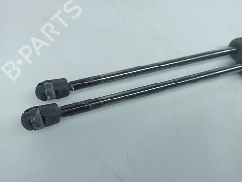 Tailgate lift support VW SHARAN (7M8, 7M9, 7M6) 1.9 TDI | BP15964921C138 