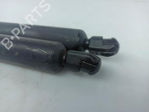 Tailgate lift support VW SHARAN (7M8, 7M9, 7M6) 1.9 TDI | BP15964921C138 