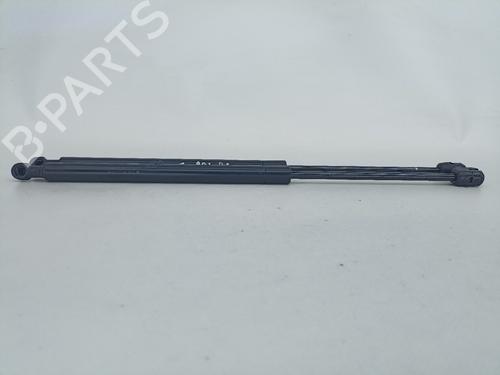 Hood lift support HYUNDAI SANTA FÉ I (SM) 2.0 CRDi 4x4 | BP16294119C139 