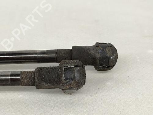 Tailgate lift support AUDI A3 (8P1) 1.6 | BP16191836C138 